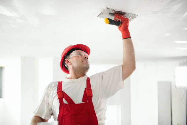 Ricardo, TX Dry wall and painting Company